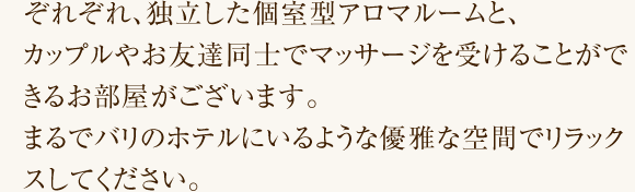 まるでパリのホテルにいるような優雅な空間でリラックスしてください